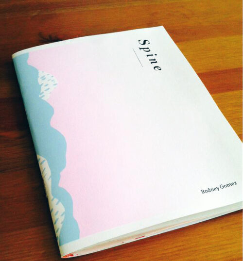Spine book cover depicting blue mountains along the book spine and pink light above them fading into white.