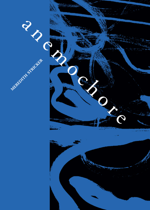 Book cover depicting swirls from bee flight lines against blue and black background and title and author name in white.