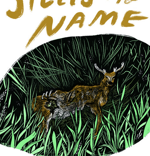 Book cover depicts a brown deer laying in grass facing the viewer with the book title Spells of My Name in gold above and author name I.S. Jones in gold below.
